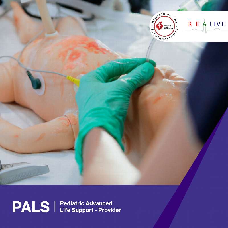 AHA Pediatric Advanced Life Support (PALS Provider Kurs)